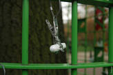 В парке Vondelpark есть сетчатая тумба с зажимами, куда люди прикрепляют потерянные кем-то вещи. Кто-то прикрепил женский тампон.
