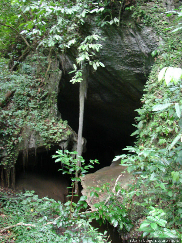 Три гектара джунглей с известными миру пещерами Мири, Малайзия