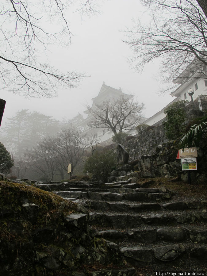 На горе у крепости Гудзё. Гудзё, Япония