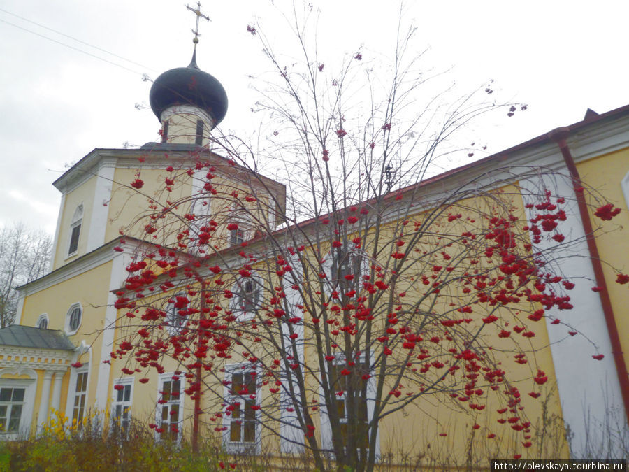 Церковь Покрова Богородицы на Козлене Вологда, Россия