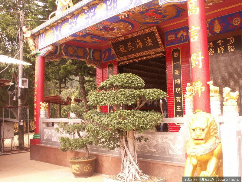 Бансай украшает храм Ша-Тин, Гонконг