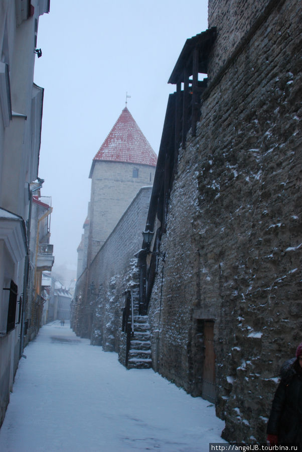 Только в Таллинне на Новый 2012 год был снег. Таллин, Эстония