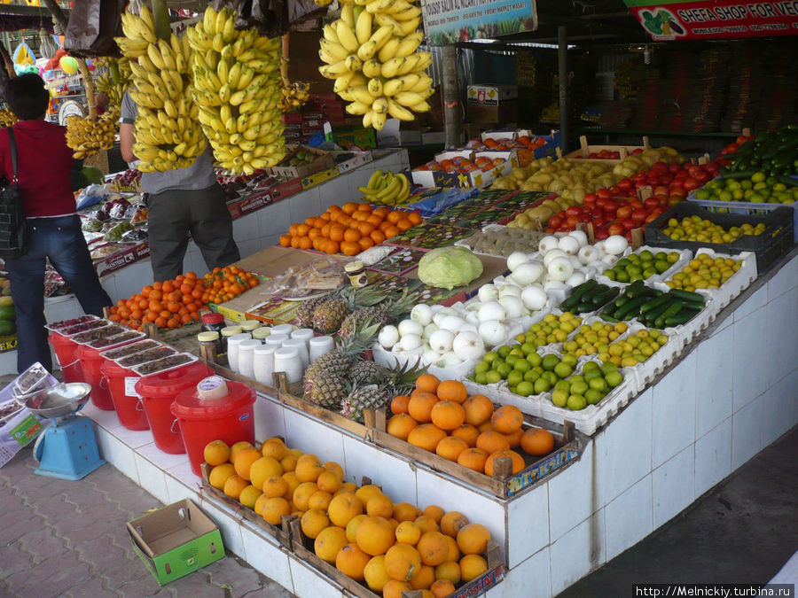 Ковровый рынок в горах Ха6жар Масафи, ОАЭ