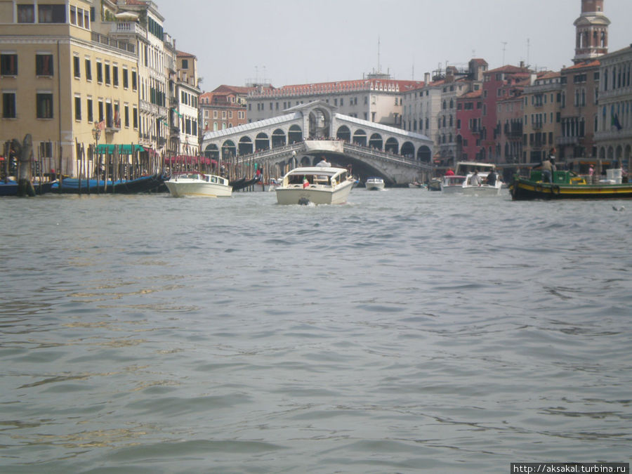 Мост Риальто. Венеция, Италия