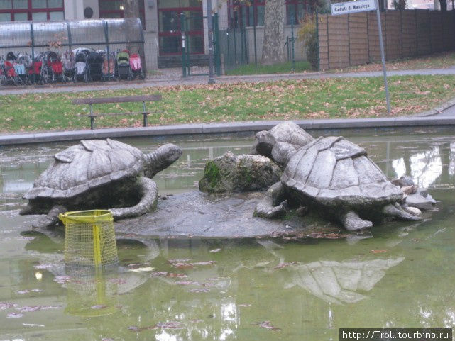 Великое множество черепах собралось в центре фонтана, ожидая весны, когда можно будет порадовать публику струями воды Болонья, Италия