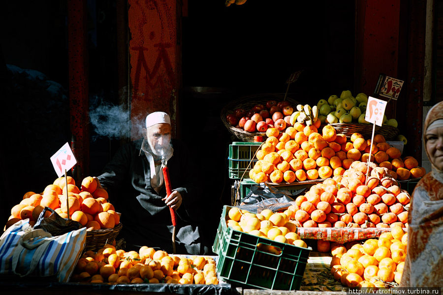 Торговец цитрусами :-) Каир, Египет