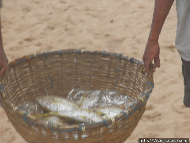 Да! Сегодня не их день! Да! Сегодня не их день!