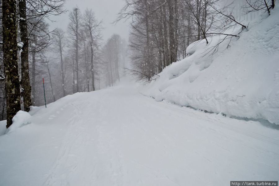 Лесная лыжная трасса Лесная лыжная трасса