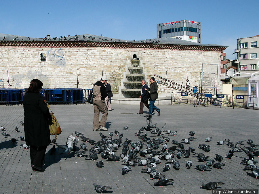 Площадь голубей Стамбул, Турция