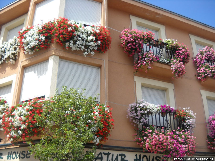 Цветущий вид Сан-Лоренсо-де-Эль-Эскориал, Испания