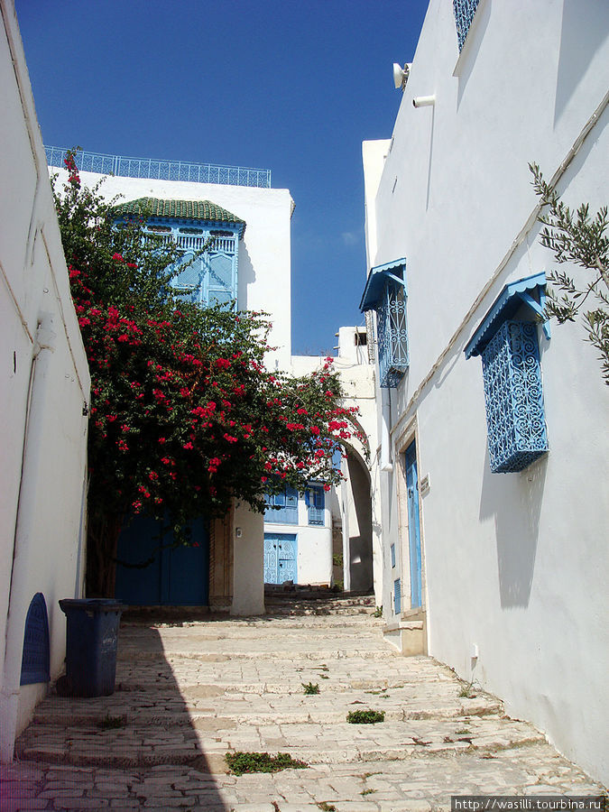 Сиди-Бу-Саид - жемчужина Туниса. Сиди-Бу-Саид, Тунис