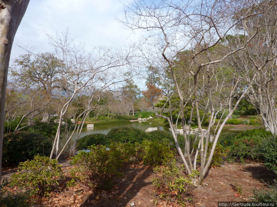 Японский сад в  Парке Хермана Хьюстона Хьюстон, CША
