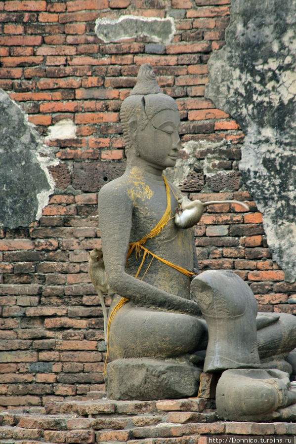 трюке на Будде 1: двойной кульбит Лоп-Бури, Таиланд