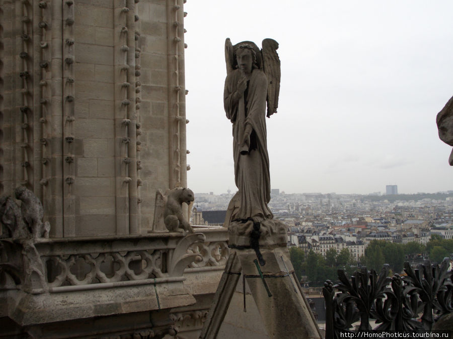С собора Парижской Богоматери Париж, Франция