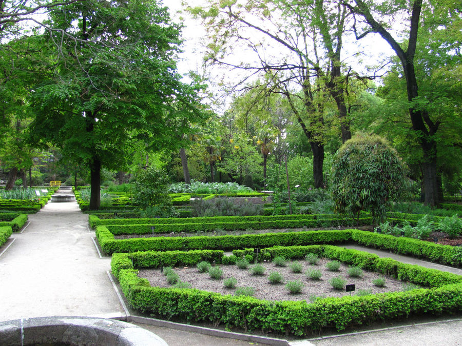 Королевский ботанический сад Мадрид, Испания