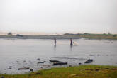 Во время приливов, которые случаются 2 раза в сутки, местные жители берут в руки сети и ловят рыбу на мелководье.