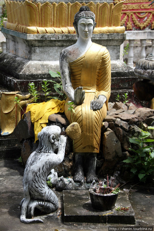 Будда с обезьяной Провинция Тямпасак, Лаос
