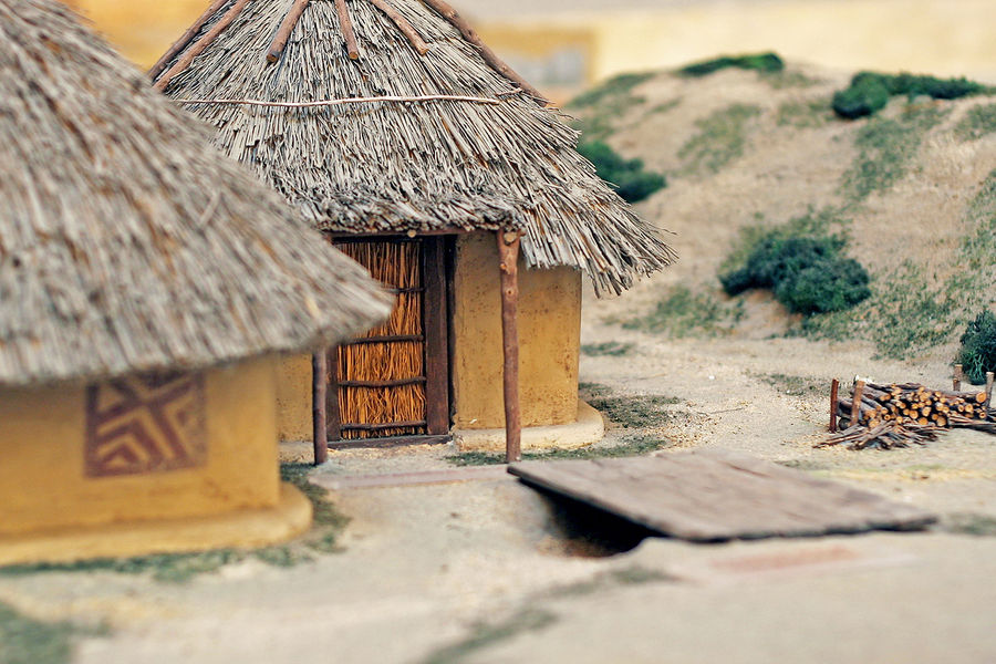 В первых 14-ти залах располагается своего рода исторический синтез происхождения Рима вплоть до VI века н. э. В первых 14-ти залах располагается своего рода исторический синтез происхождения Рима вплоть до VI века н. э.