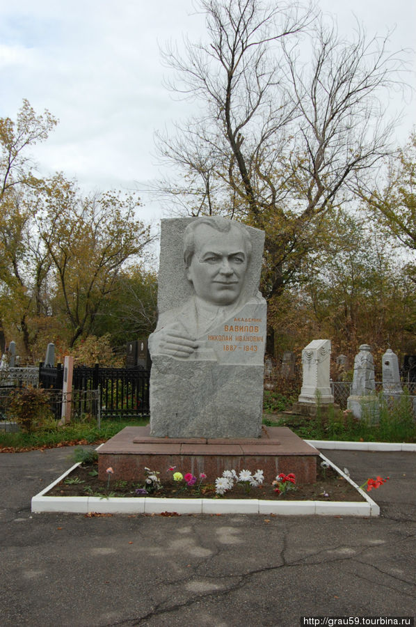 Памятник Н.И.Вавилову на Воскресенском кладбище Саратов, Россия
