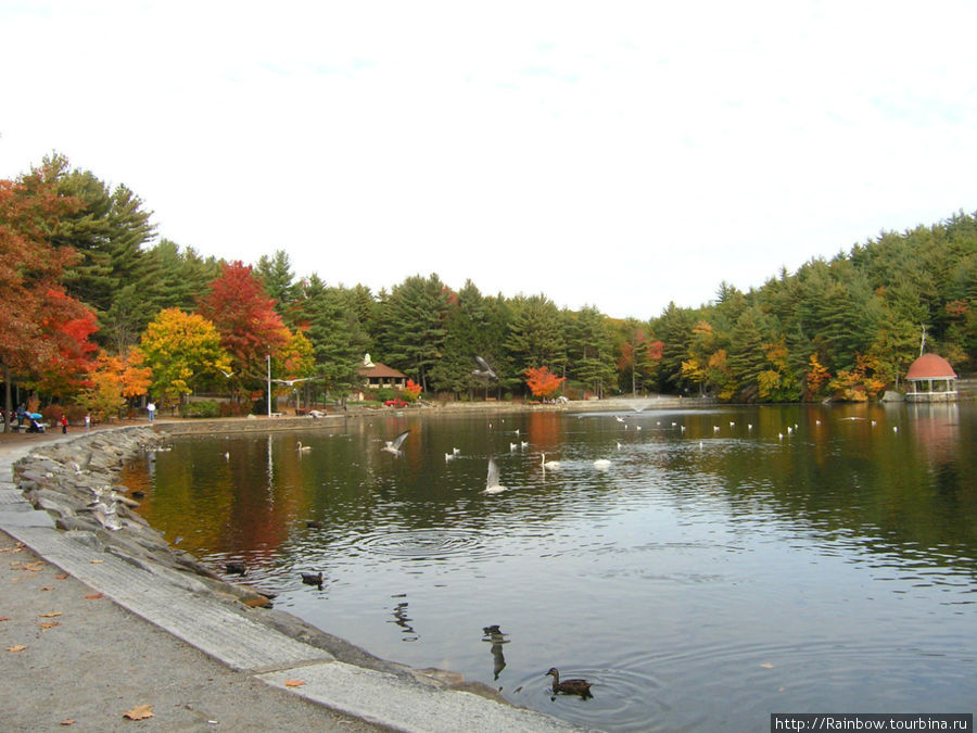 Разноцветная  осень  в Новой Англии Штат Массачусетс, CША