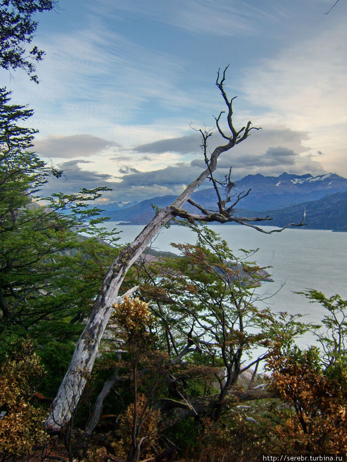 Треккинг в парке Torres Del Paine (день 4-5) Национальный парк Торрес-дель-Пайне, Чили