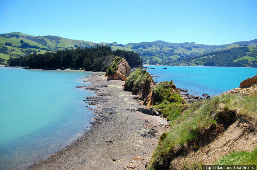 Полуостров Онаве Акароа, Новая Зеландия