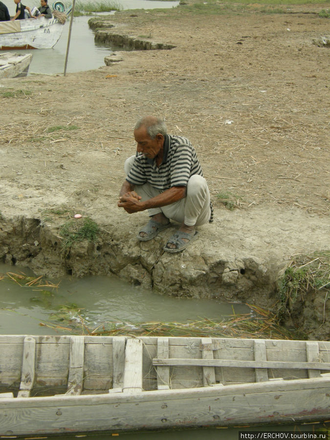 На хуторе у старика со старухой Басра, Ирак