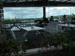 Интересная кафешка почти напротив терминала Викинг лайн — стеклянные стены со всех сторон