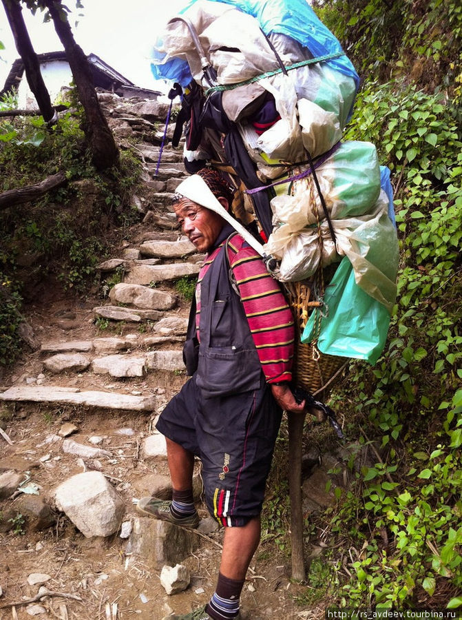 Местные таскают на себе по горам огромные грузы! Гора Эверест (8848м), Непал