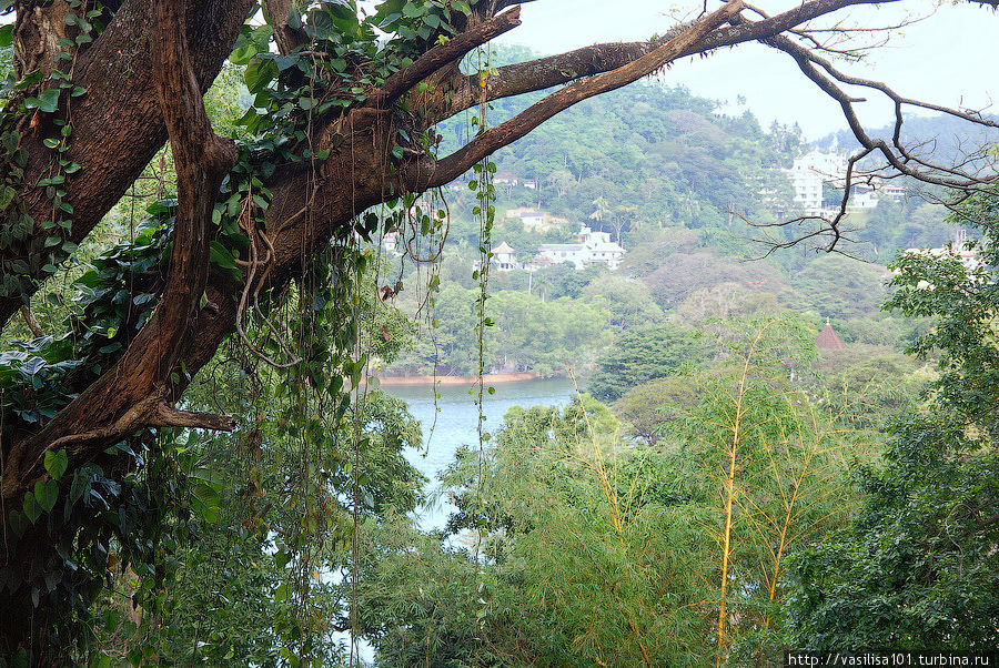 Вокруг озера Канди Канди, Шри-Ланка Вокруг озера Канди Канди, Шри-Ланка