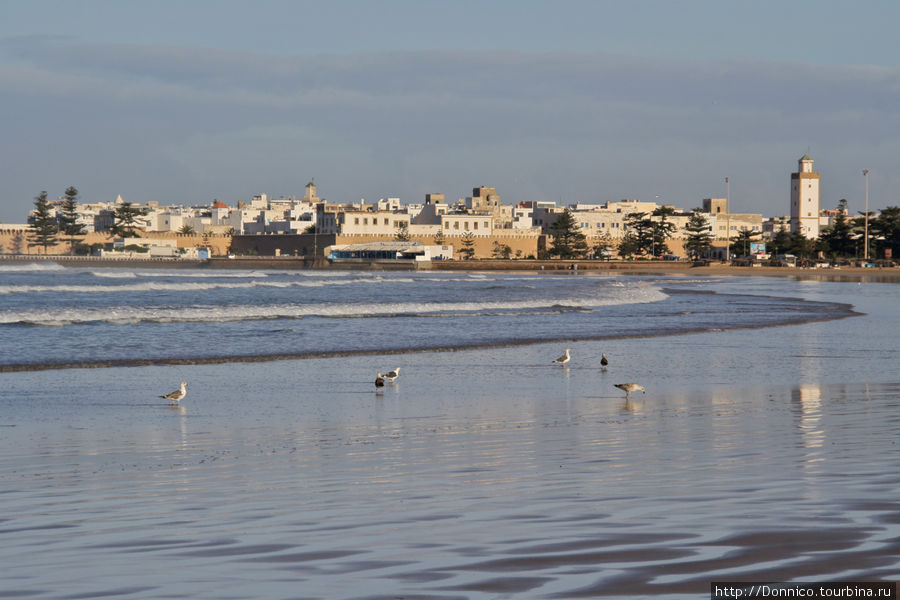 Эссуэйра утром на пляже (дюны, камни и следы) Эссуэйра, Марокко