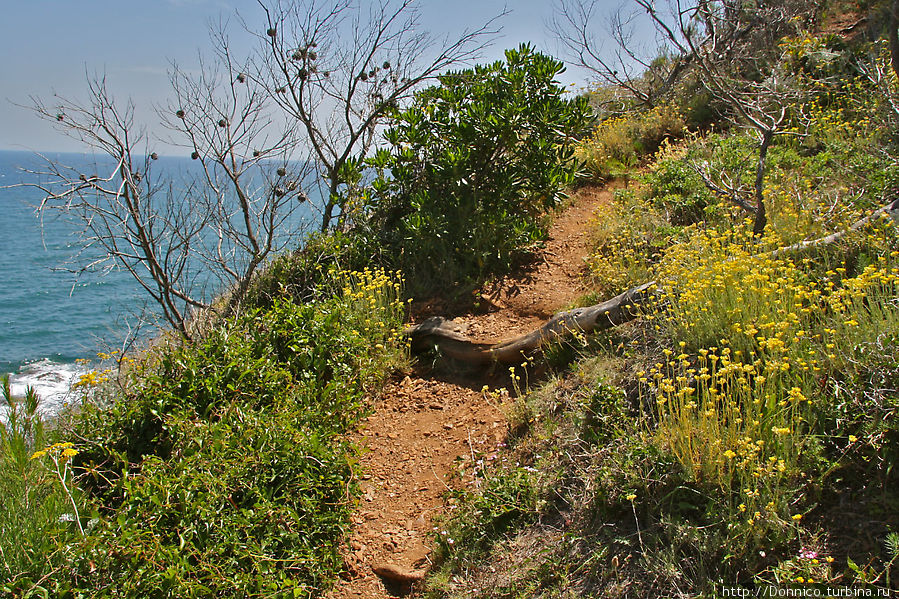 вот это достаточно типичный участок тропы на отрезке после мыса Creu Са-Риера, Испания вот это достаточно типичный участок тропы на отрезке после мыса Creu Са-Риера, Испания
