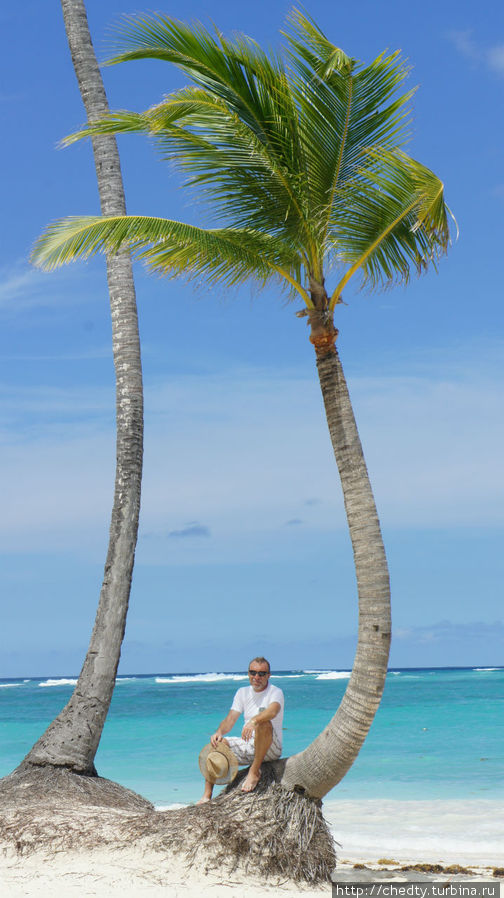 Специально подобрал пальму поменьше, что бы самому выглядеть как нибудь позначительнее Пунта-Кана, Доминиканская Республика