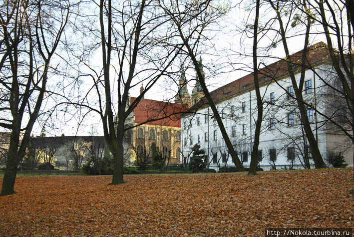 Бжег. Бывшая резиденция правителей Бжегского герцогства Бжег, Польша