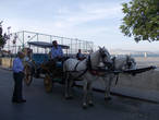 лошади и кареты — основной транспорт на островах