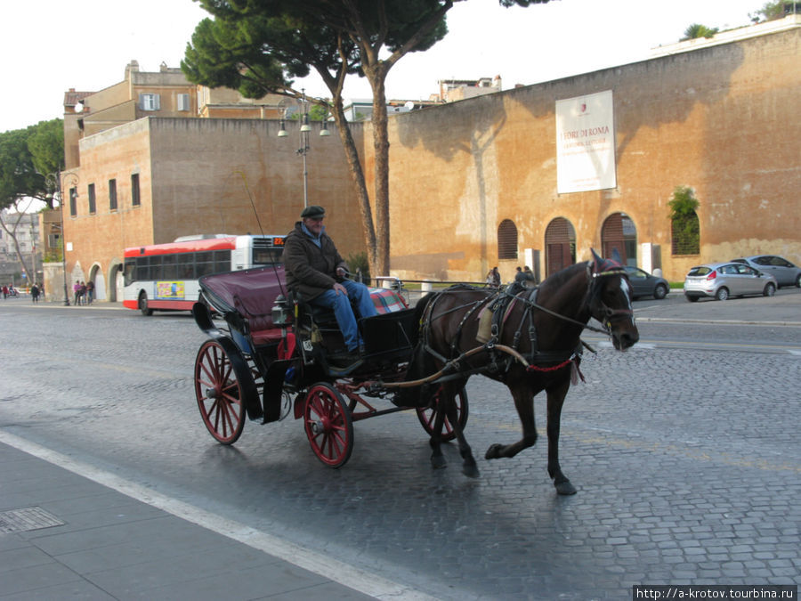 повозка для туристов Рим, Италия