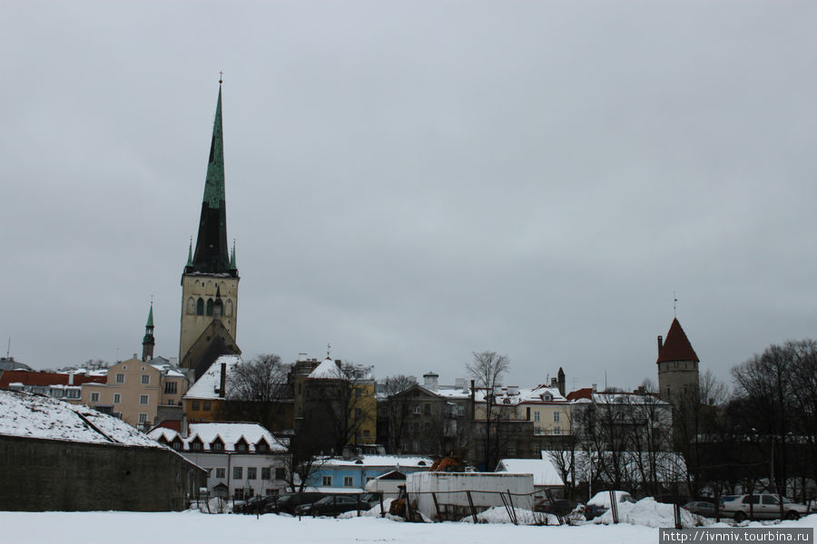Зимний Таллин Таллин, Эстония