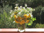 Букетик полевых цветов,собранных мной в ноябре в одном из парков Неаполя.