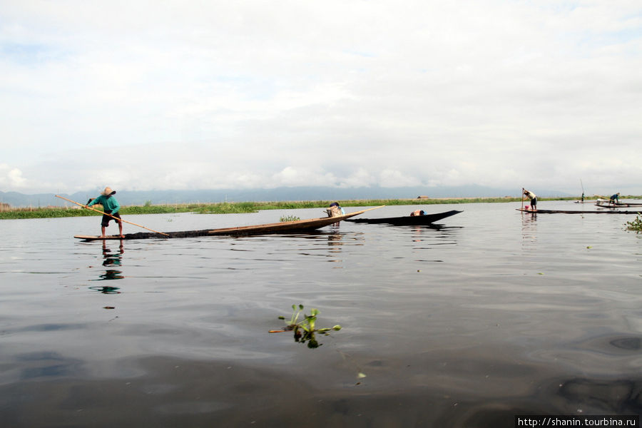 Плавающие огороды на озере Инле Ньяунг-Шве, Мьянма