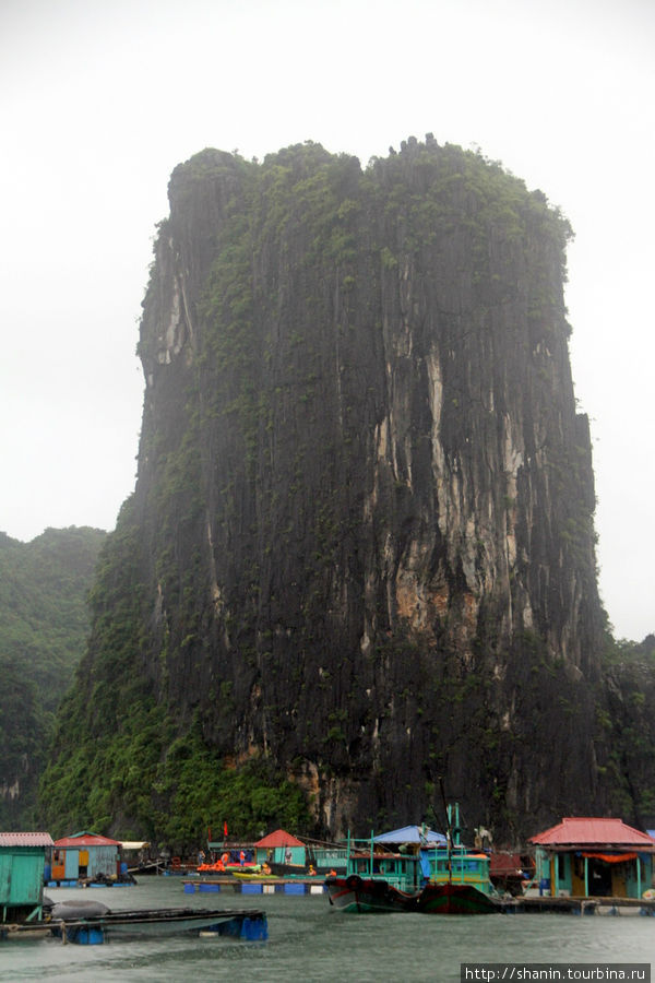Скалы, скалы, скалы... Халонг бухта, Вьетнам