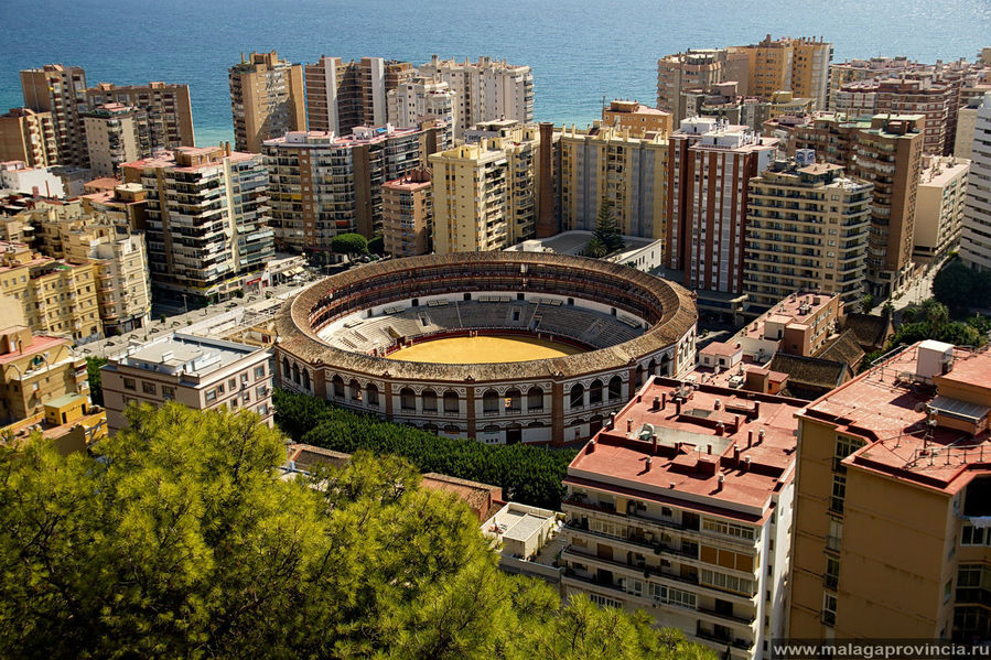 Музей корриды Антонио Ордоньеса / Museo Taurino de Málaga