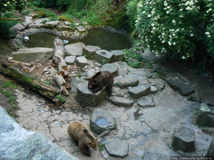 Медведь – родовой символ владельцев замка. Чешский Крумлов, Чехия