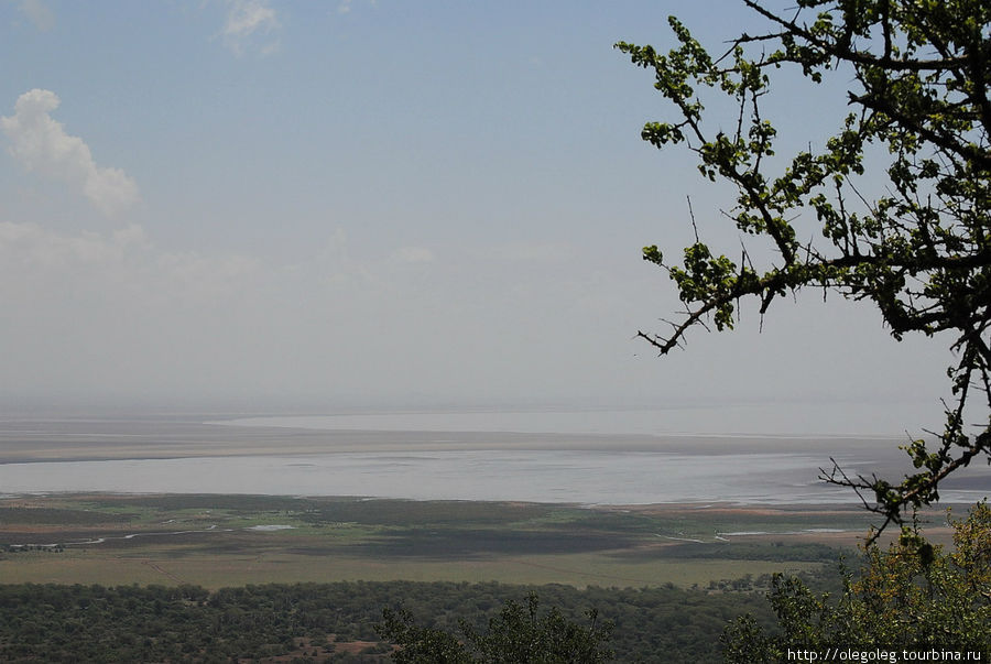 Акуна матата, или даешь сафари! 12.2010 Часть одинадцатая. Национальный парк Озеро Маньяра, Танзания
