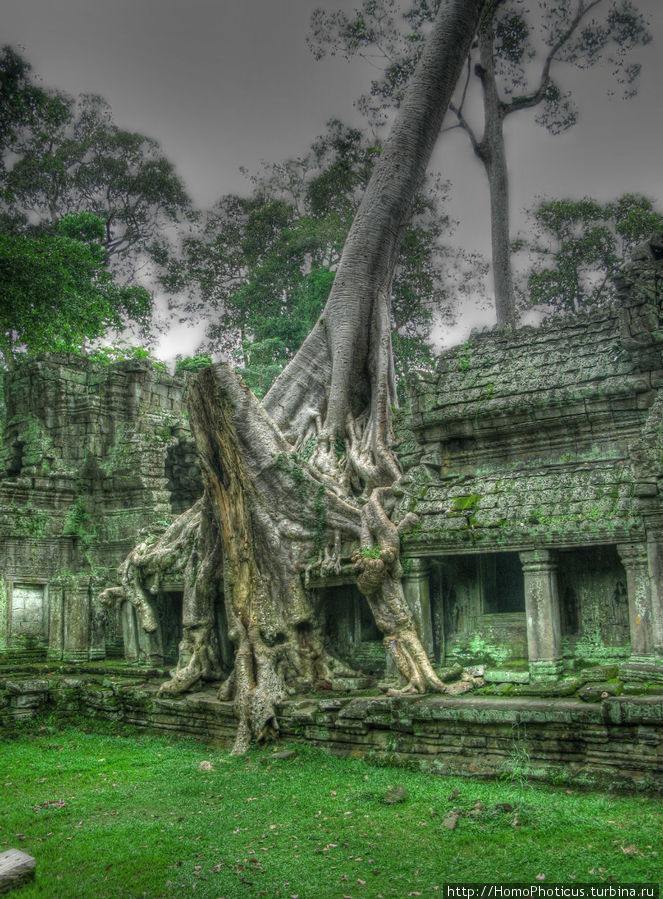 Пре Кан (обработка) Ангкор (столица государства кхмеров), Камбоджа