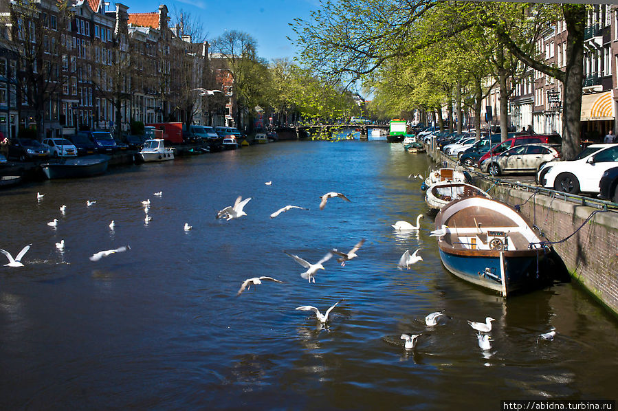 Каналы Амстердама Амстердам, Нидерланды