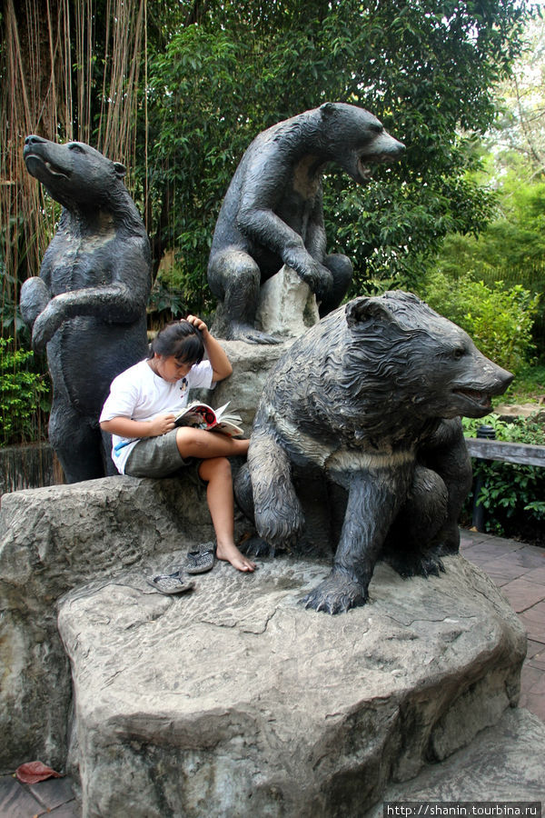 Страстная читательница на памятнике медведям Бангкок, Таиланд