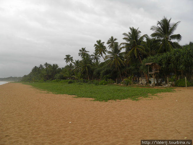 Пляжная полоса Бентота, Шри-Ланка