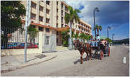 Повсеместный кубинский транспорт. Хорошая лошадь стоит около 5-6 тысяч песо (180$)