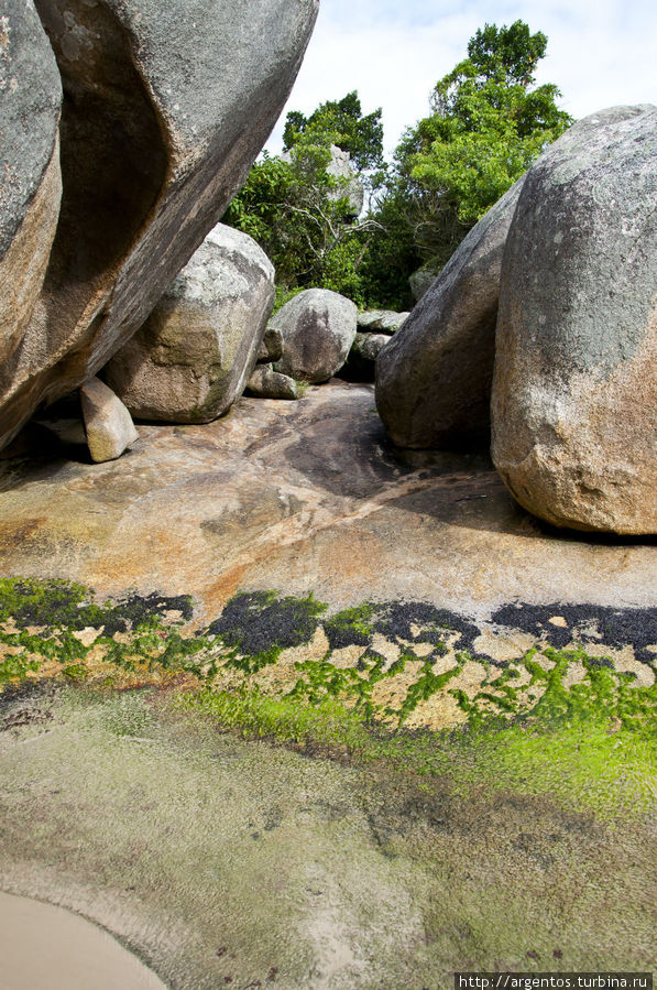 Прибрежные скалы Флорианополис, Бразилия