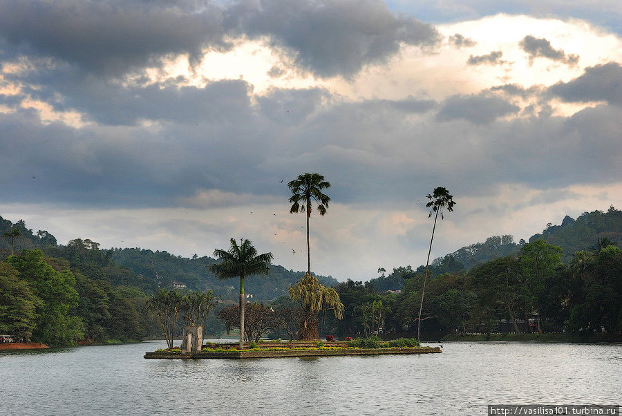 Вокруг озера Канди Канди, Шри-Ланка